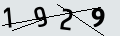 verifycode